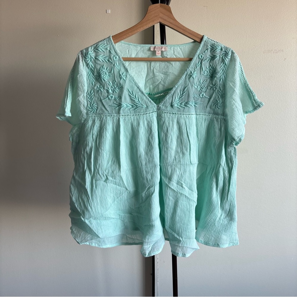 Pink Chicken Aqua Embroidered Blouse